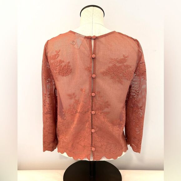 Forever 21 Exclusive Sheer Mesh Floral Lace Crop Top size Small - Picture 2 of 11